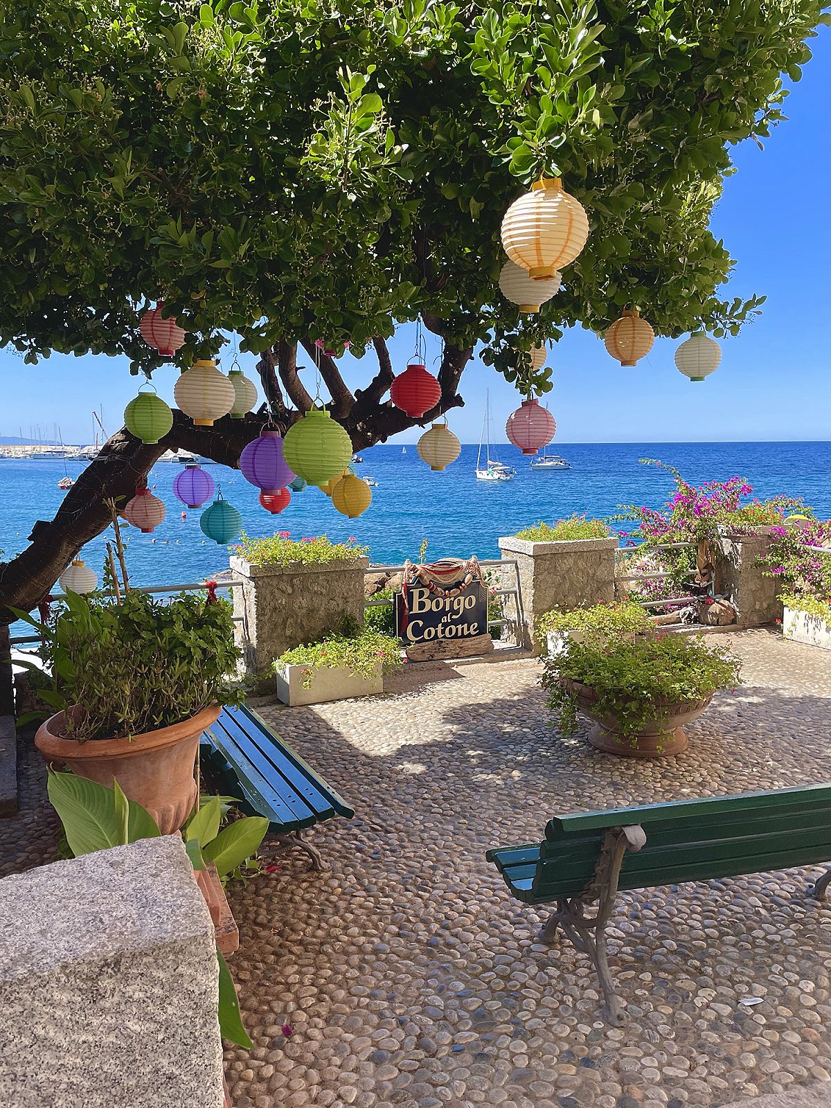 Lanterne di carta colorate appese ai rami di un albero, con il mare dietro