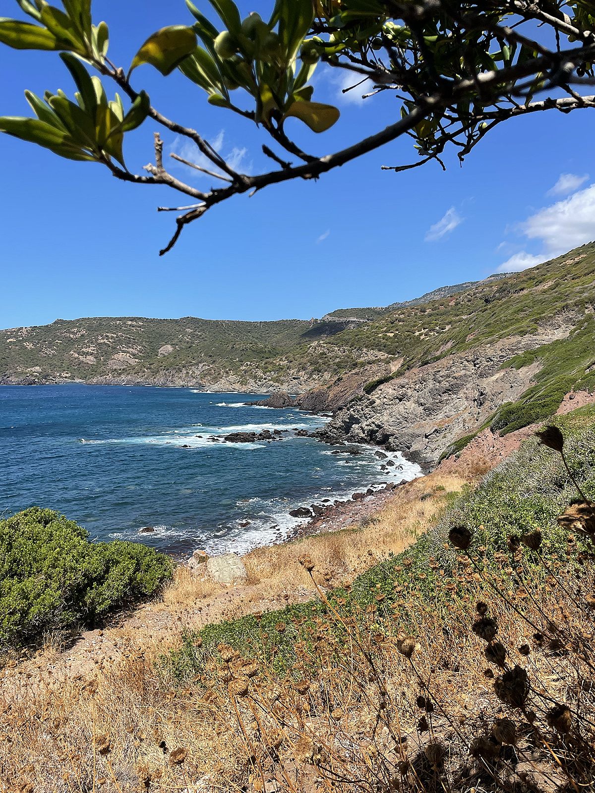 Una cala rocciosa vista da un sentiero in salita, fra la macchia mediterranea